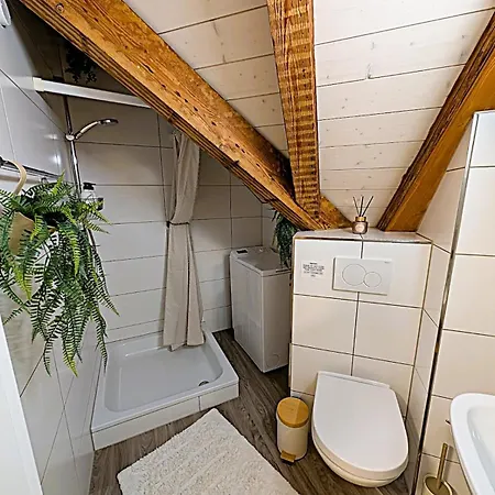 Zentrales Design Loft Ueber Den Daechern St Gallens