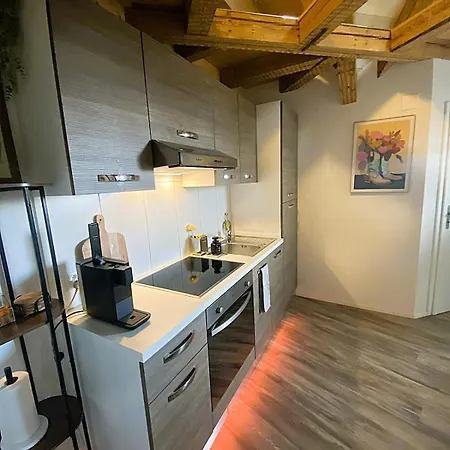 Zentrales Design Loft Ueber Den Daechern St Gallens *