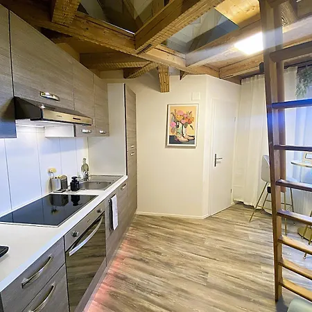 Lägenhet Zentrales Design Loft Ueber Den Daechern St Gallens