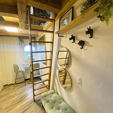 Zentrales Design Loft Ueber Den Daechern St Gallens St. Gallen