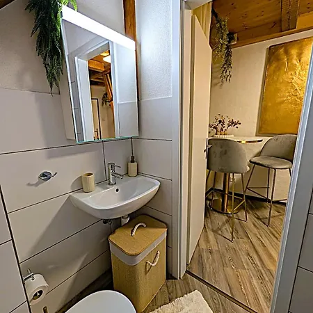 Lägenhet Zentrales Design Loft Ueber Den Daechern St Gallens *