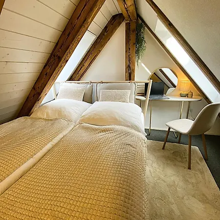 Zentrales Design Loft Ueber Den Daechern St Gallens * St. Gallen