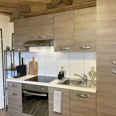 Lägenhet Zentrales Design Loft Ueber Den Daechern St Gallens