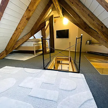 Zentrales Design Loft Ueber Den Daechern St Gallens * St. Gallen