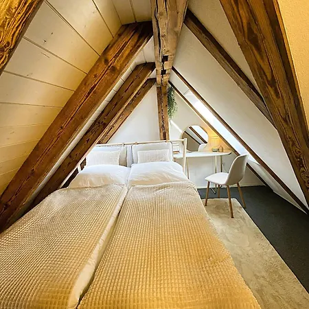 Zentrales Design Loft Ueber Den Daechern St Gallens * St. Gallen