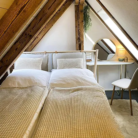 Zentrales Design Loft Ueber Den Daechern St Gallens *