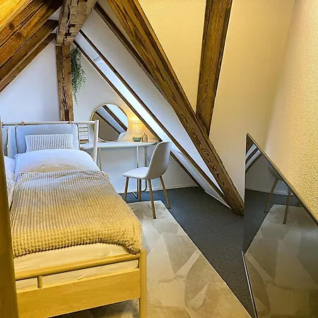Zentrales Design Loft Ueber Den Daechern St Gallens * St. Gallen