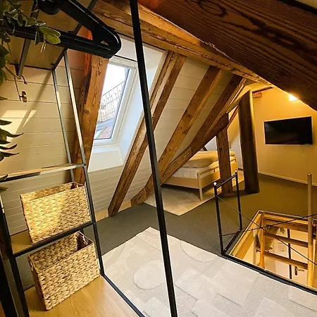 Zentrales Design Loft Ueber Den Daechern St Gallens *