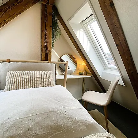 Zentrales Design Loft Ueber Den Daechern St Gallens St. Gallen