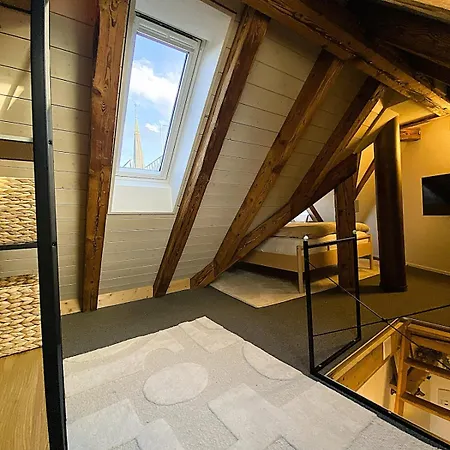 Zentrales Design Loft Ueber Den Daechern St Gallens Lägenhet