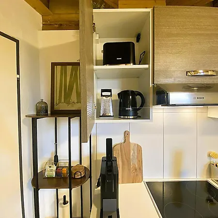 Zentrales Design Loft Ueber Den Daechern St Gallens *