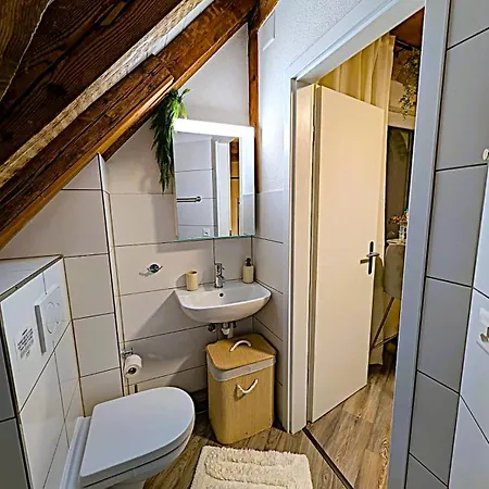 Lägenhet Zentrales Design Loft Ueber Den Daechern St Gallens