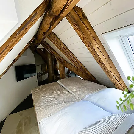 Zentrales Design Loft Ueber Den Daechern St Gallens *